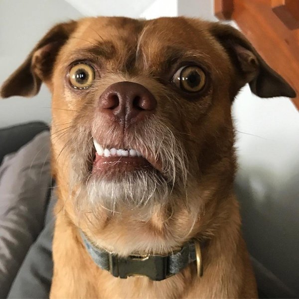 o ec eo,   eo a oe, e  o aeo a ceao - 4