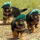 ���� �������, ������, 48 ��� - ��������� 14 ��� 2019