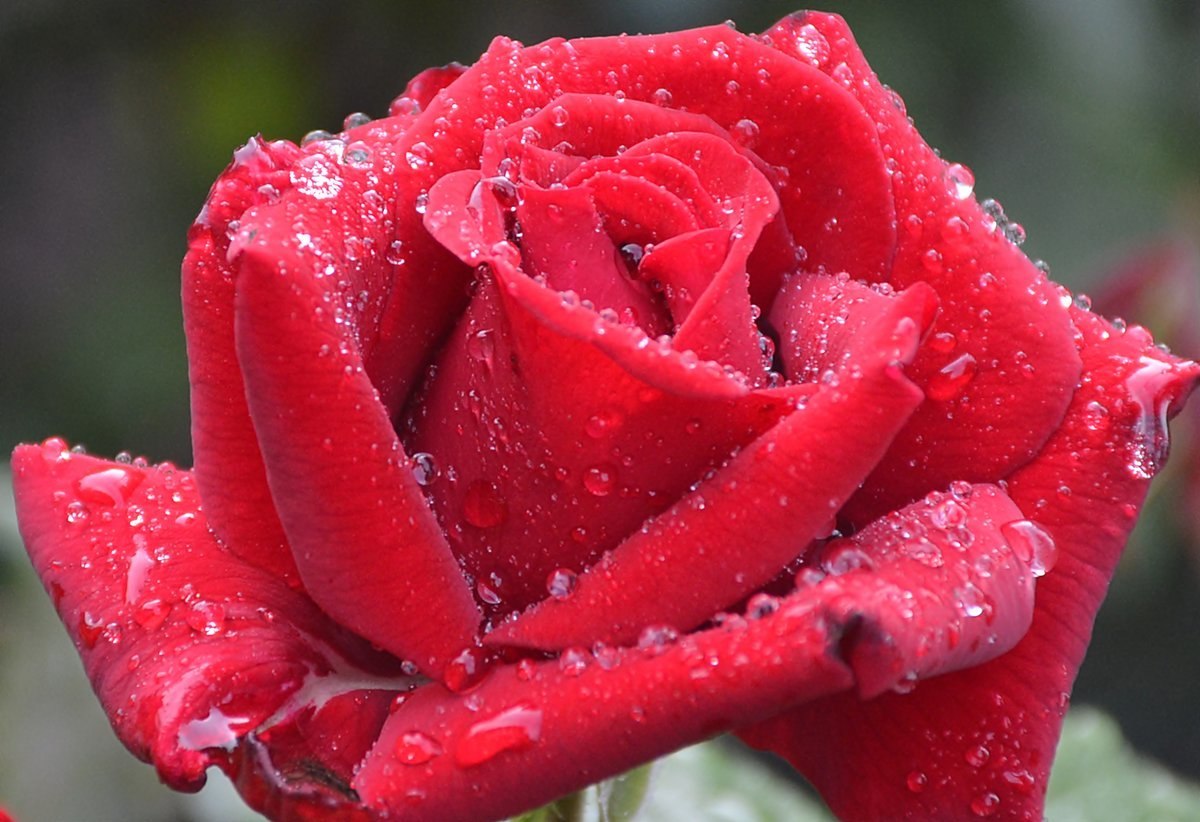 ����������� � ���������, �������� �� ������ ����. - 20 ��� 2019 � 21:48