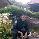  ,  , 50  -  26  2019