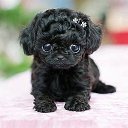 � ��� � � �� ������� ���� ����������