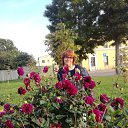 ���� ���������, �����-���������, 60 ��� - ��������� 28 ������� 2019 � ������ ���� ����������