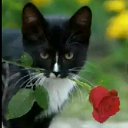 ���� Redjep, �������, 49 ��� - ��������� 6 ������� 2019