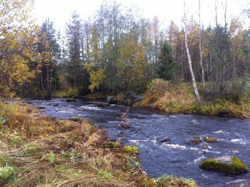 ��������� �������� �����... - 5