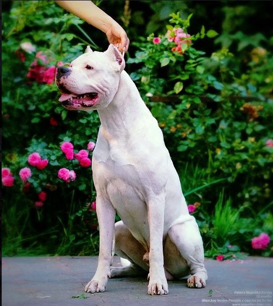 ������ - 3 ������ 2020 � 18:38