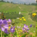 ���� �������, ������ - ��������� 16 ������ 2019 � ������ ���� ����������