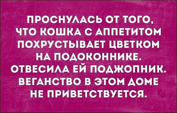 ☆������ �����☆ - 21 ��� 2019 � 03:59