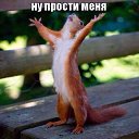 ���� ��������, �������, 47 ��� - ��������� 23 ��� 2019