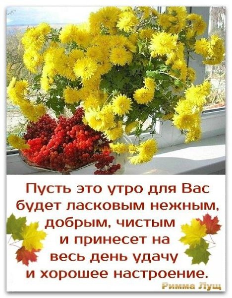 �������� ��������, � �������� ����������, ����� ��� �� ��� �������, � �� �������� �������!