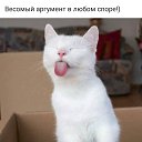 ���� �����, ������ - ��������� 6 ������� 2019 � ������ ���� ����������