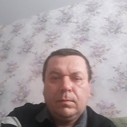 ����, ���������, 49 ���