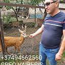 ���� Mher, ��������, 41 ��� - ��������� 18 ������� 2019 � ������ ���� ����������