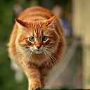 ���� Mi, ������� - ��������� 30 ������ 2019 � ������ ���� ����������