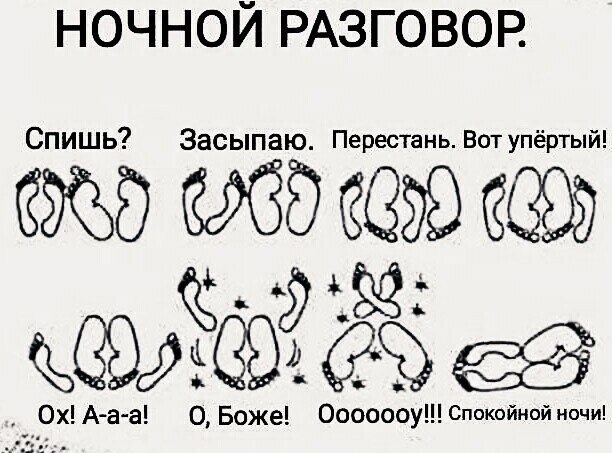  - 12  2019  19:56