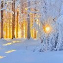 ���� ��������, �����-���������, 72 ���� - ��������� 3 ������ 2020 � ������ ������ ��������