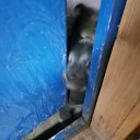 ���� ��������, �����-���������, 58 ��� - ��������� 24 ������� 2019 � ������ ���� ����������