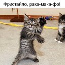 ���� �����, ����������, 64 ���� - ��������� 12 ������� 2019 � ������ ������ ��������