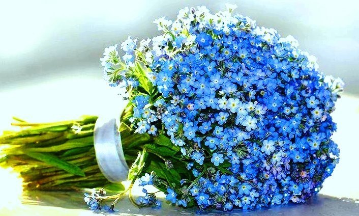   ,    . - 2  2019  22:42