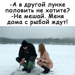 ���� ˸���, �������� - ��������� 20 ������ 2019