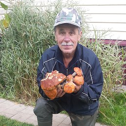 ������, ������, 73 ����