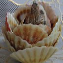 ���� ���������, ������� ����, 69 ��� - ��������� 10 ���� 2019 � ������ ���� ����������