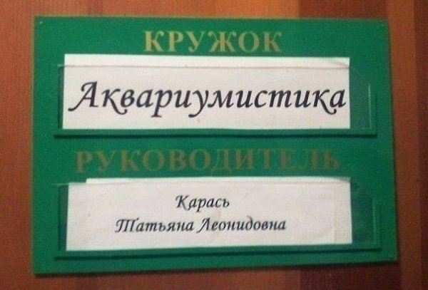 Вспомнилась кафедра Мертвой головы - Электротехники. Где начальником был Головин, а его замом ... - 6