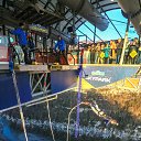 ���� �����, ������, 45 ��� - ��������� 15 ������� 2019 � ������ ������ ��������