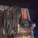 ���� ������, �������, 45 ��� - ��������� 29 ������� 2019