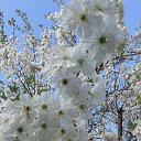 ���� Tadeusz, �����, 63 ���� - ��������� 14 ���� 2019 � ������ ���� ����������