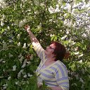 ���� �����, ��������, 56 ��� - ��������� 31 ������� 2019 � ������ ���� ����������