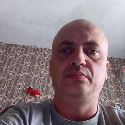 ���� �����, �������, 47 ��� - ��������� 13 ��� 2019