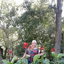 ���� �������, ��������� - ��������� 24 ������� 2019 � ������ ���� ����������