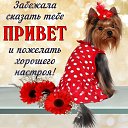 ���� ������, ������, 69 ��� - ��������� 7 �������� 2019 � ������ ���� ����������