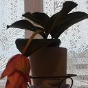 ���� ����, �����������, 50 ��� - ��������� 7 ������� 2019 � ������ ������ ��������