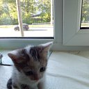 ���� �������, ���������, 54 ���� - ��������� 5 ������ 2019 � ������ ���� ����������