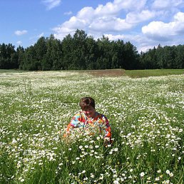 �����, �����, 65 ���