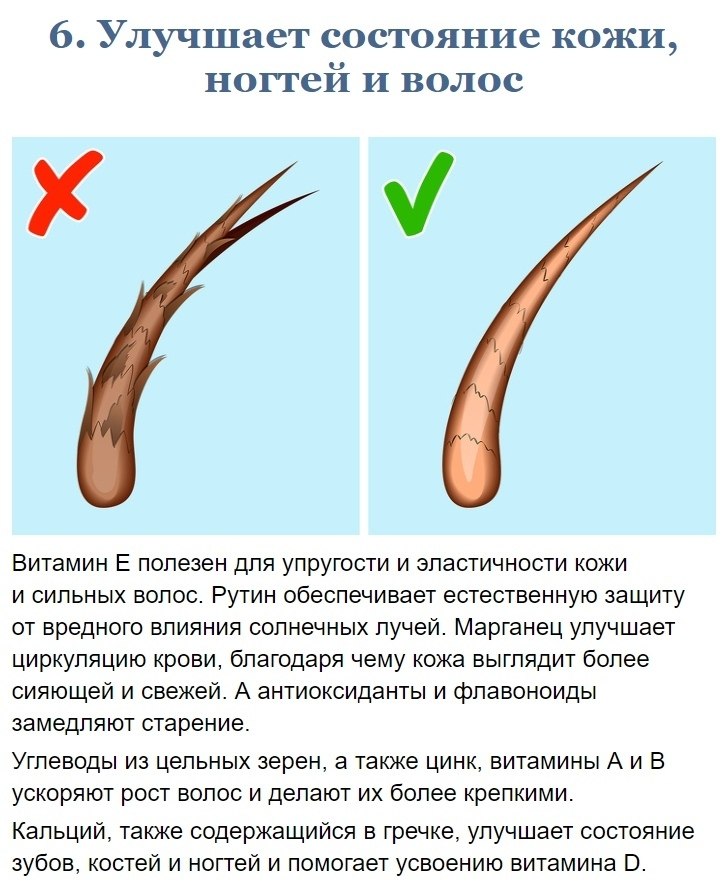 pey ecpoca aa ape py. o pooe c a opao, ec ec y pyy a ... - 6