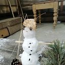  ,   , 47  -  21  2019    