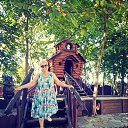 ���� ����������, ����������� - ��������� 21 ������� 2019 � ������ ���� ����������