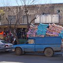  Lech, , 72  -  2  2019   SHIRAZ (Iran)