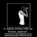 ���� �������, �����-���������, 54 ���� - ��������� 8 ��� 2019 � ������ ���