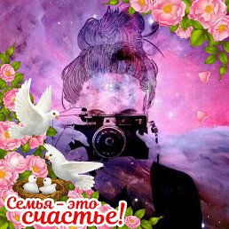 �����, ������� �����, 81 ���