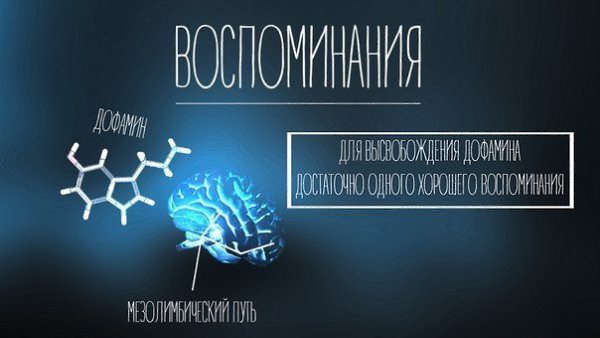 Нейробиологические советы по поднятию настроения.