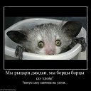 ���� ����, ������, 59 ��� - ��������� 30 ���� 2019 � ������ ������ ��������