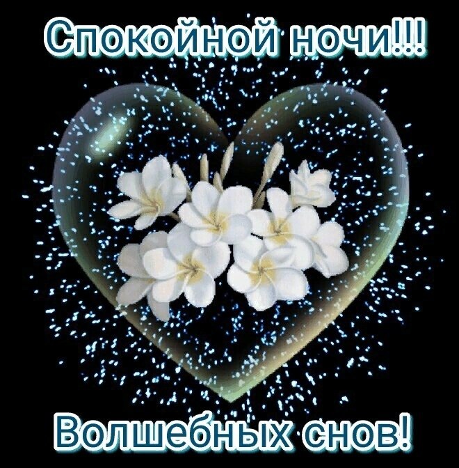   ,    . - 25  2019  21:15