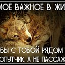���� �����, ������� - ��������� 22 ���� 2019 � ������ ���� ����������