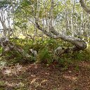 ���� ����, ����-���������, 67 ��� - ��������� 10 ������� 2019 � ������ ������ ��������