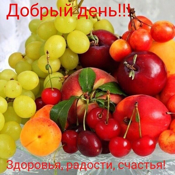   ,    . - 13  2019  08:09