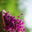 ���� Lilita, �������, 56 ��� - ��������� 29 ���� 2019 � ������ ���� ����������