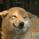  Max Spawn [, , 46  -  6  2019    